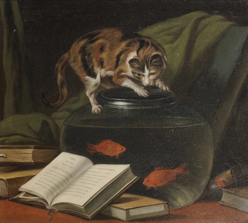 Ode sulla morte di un gatto preferito annegato - attribuito